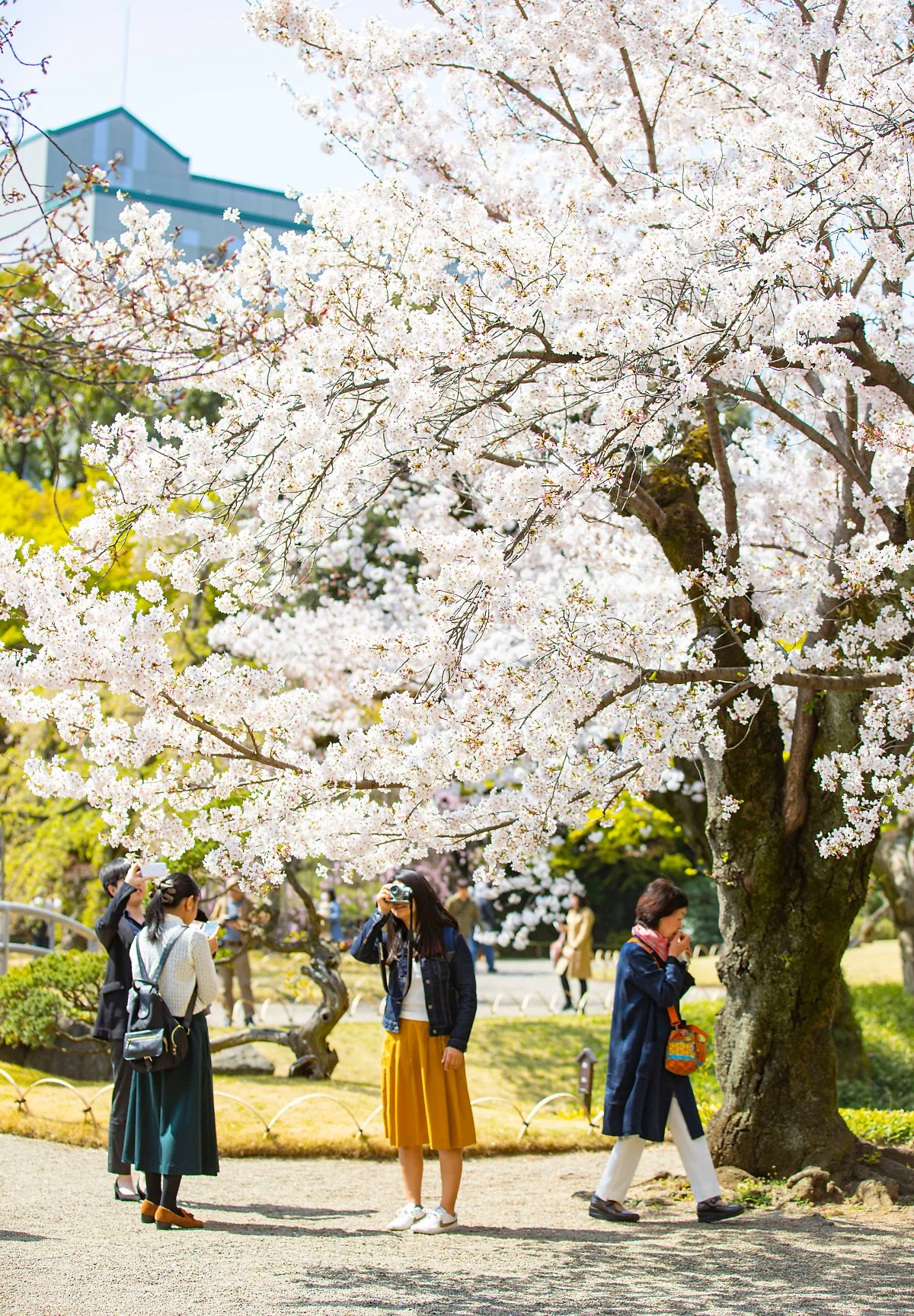 %EB%8F%84%EC%BF%84_%EC%BD%94%EC%9D%B4%EC%8B%9C%EC%B9%B4%EC%99%80_%EC%BD%94%EB%9D%BC%EC%BF%A0%EC%97%94_1.jpg?type=w1200