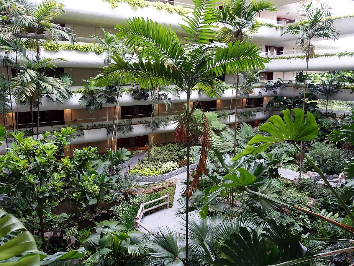 image_4669749891528788910666.jpg?type=w1200