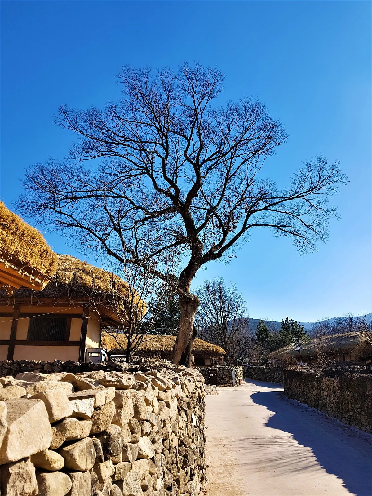 %EC%95%84%EC%82%B0_%EC%99%B8%EC%95%94%EB%AF%BC%EC%86%8D%EB%A7%88%EC%9D%84_%EC%9D%B4%EC%84%A4%EC%95%84.jpg?type=w1200