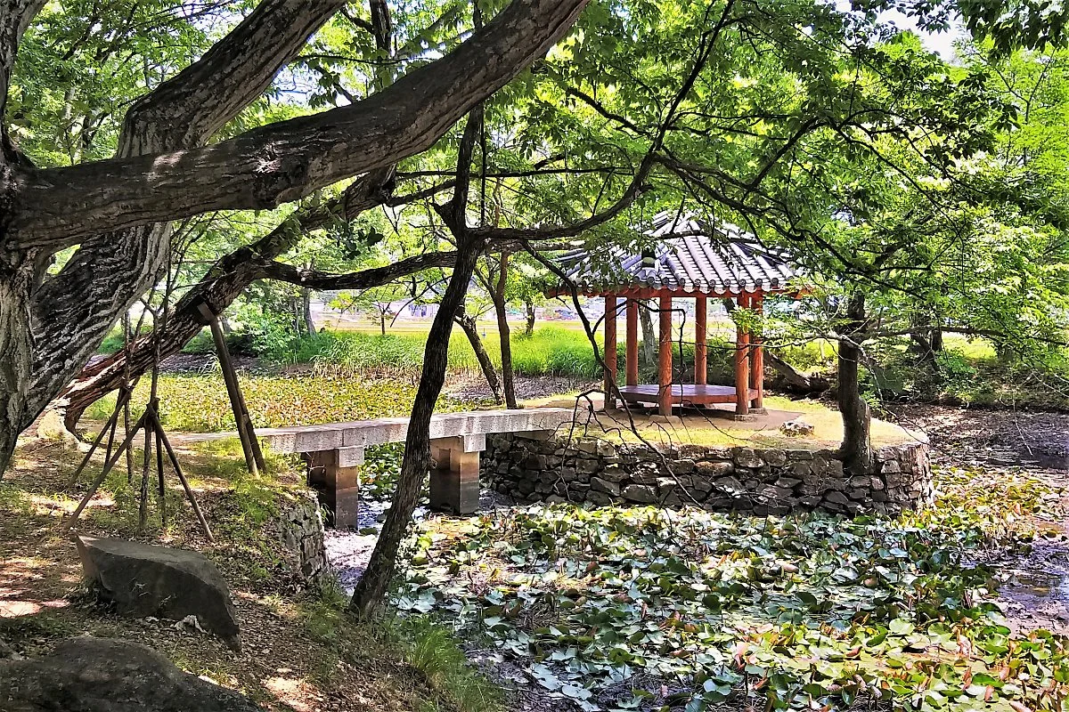 %EA%B3%A0%EC%84%B1_%EC%9E%A5%EC%82%B0%EC%88%B2_%281%29.jpg?type=w1200