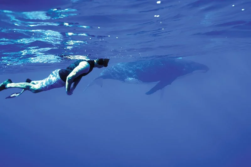 NIUE_WFL_8823-2.jpg?type=w1200