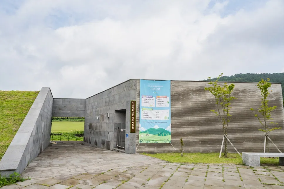 29_%EA%B1%B0%EC%8A%A8%EC%84%B8%EB%AF%B8%EC%98%A4%EB%A6%84%EC%9D%98_%EC%83%9D%ED%83%9C%EC%B2%B4%ED%97%98%EA%B4%80.jpg?type=w966