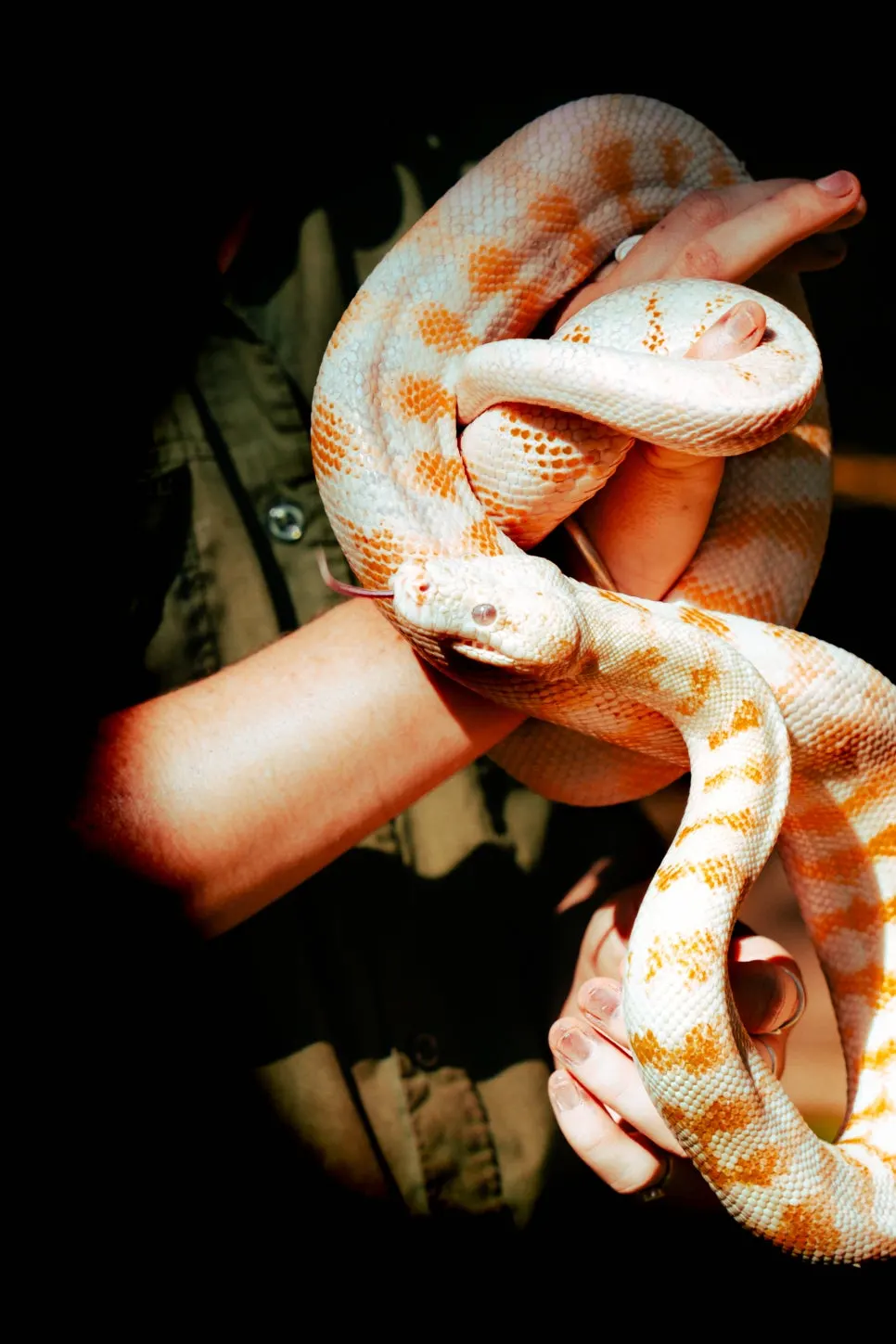 %EB%A0%88%EC%9D%B8%ED%8F%AC%EB%A0%88%EC%8A%A4%ED%85%8C%EC%9D%B4%EC%85%98_%EC%9E%90%EC%97%B0%EA%B3%B5%EC%9B%90_(9).jpg?type=w966