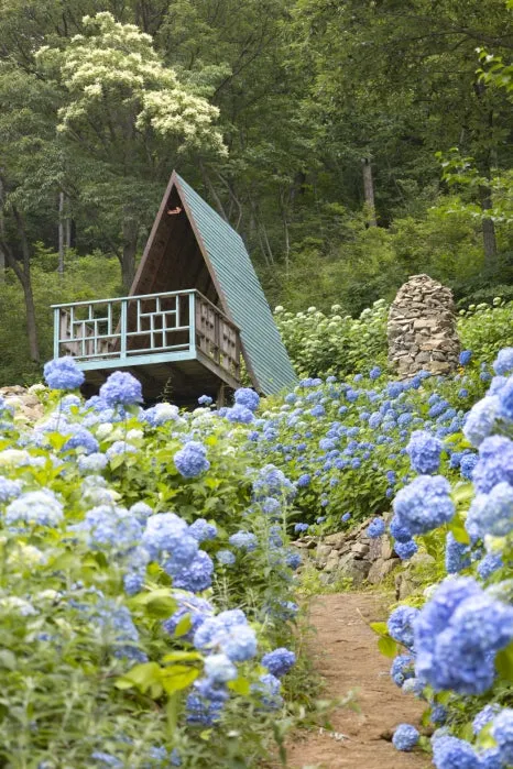 IMG_6944.jpg?type=w466