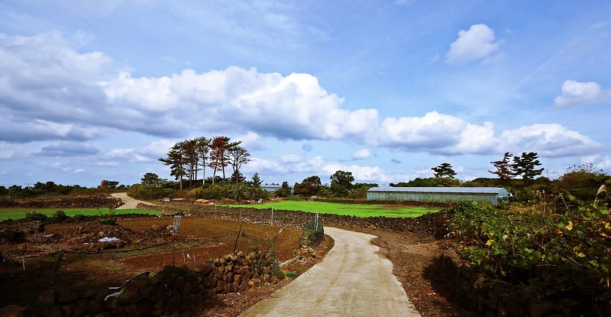 19._%EA%B9%80%EB%85%95_%EB%A7%88%EC%9D%84_%EB%86%8D%EB%A1%9C.JPG?type=w1200