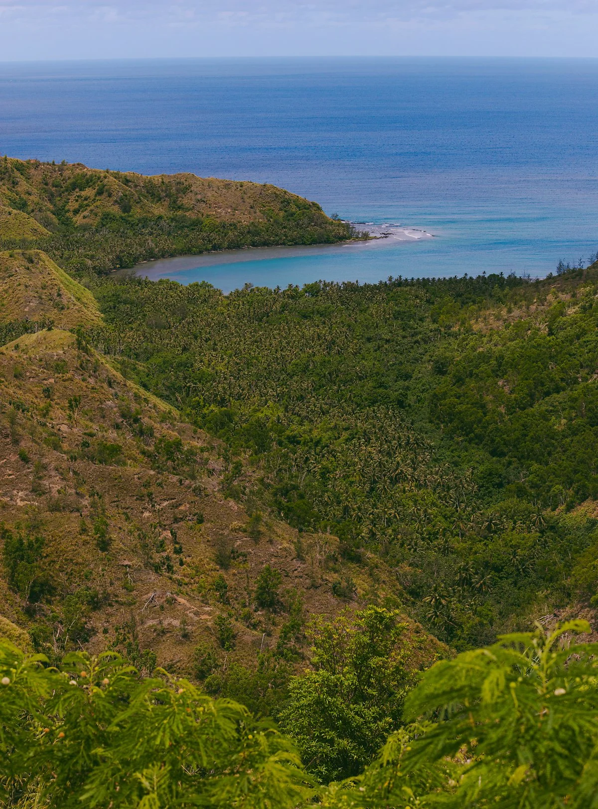 %EA%B4%8C_Cetti_Bay_Overlook.jpg?type=w1200