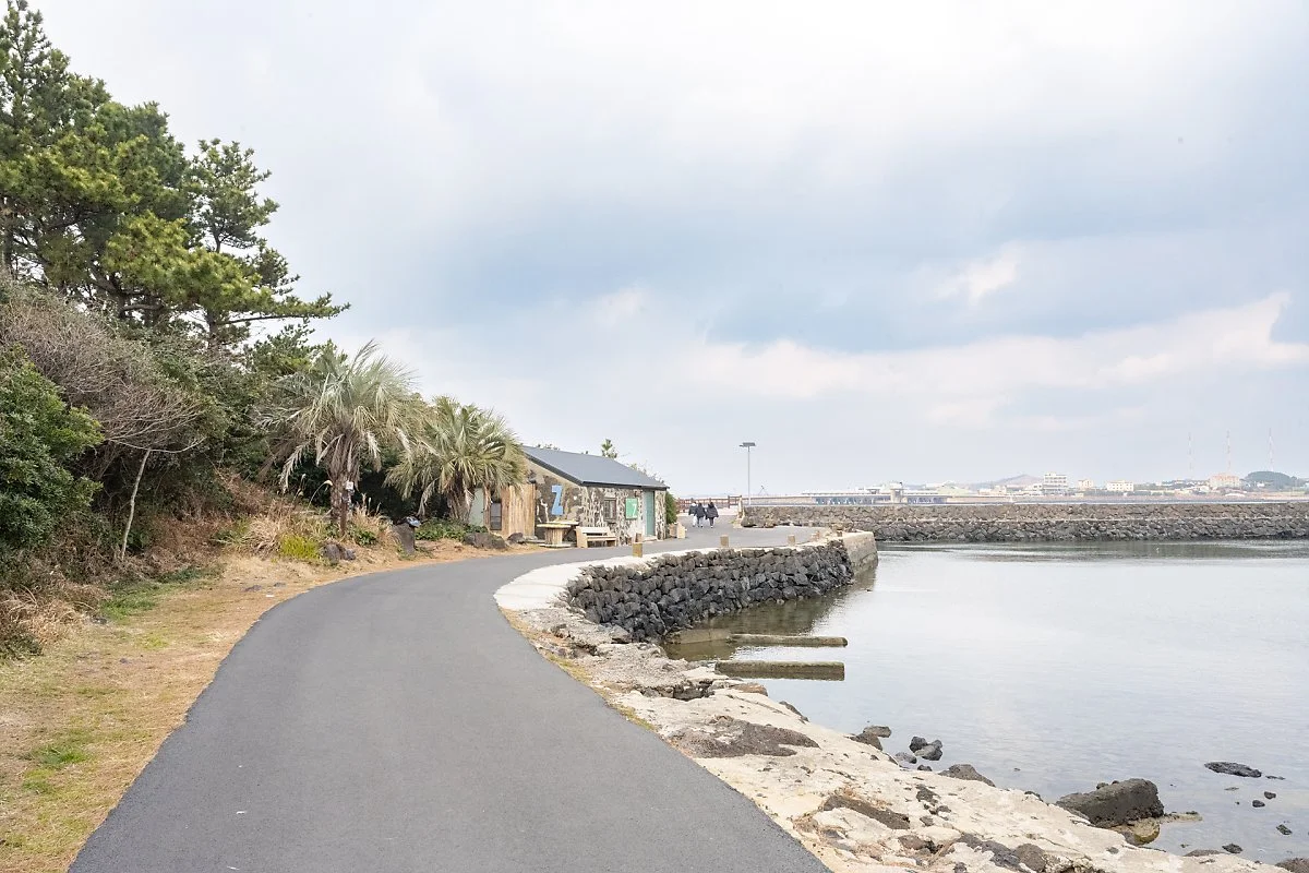 %EC%98%A4%EC%A1%B0%EB%A6%AC_%EA%B3%B5%ED%95%AD%EA%B0%80%EB%8A%94%EA%B8%B8_%EC%B4%AC%EC%98%81%EC%A7%80.jpg?type=w1200