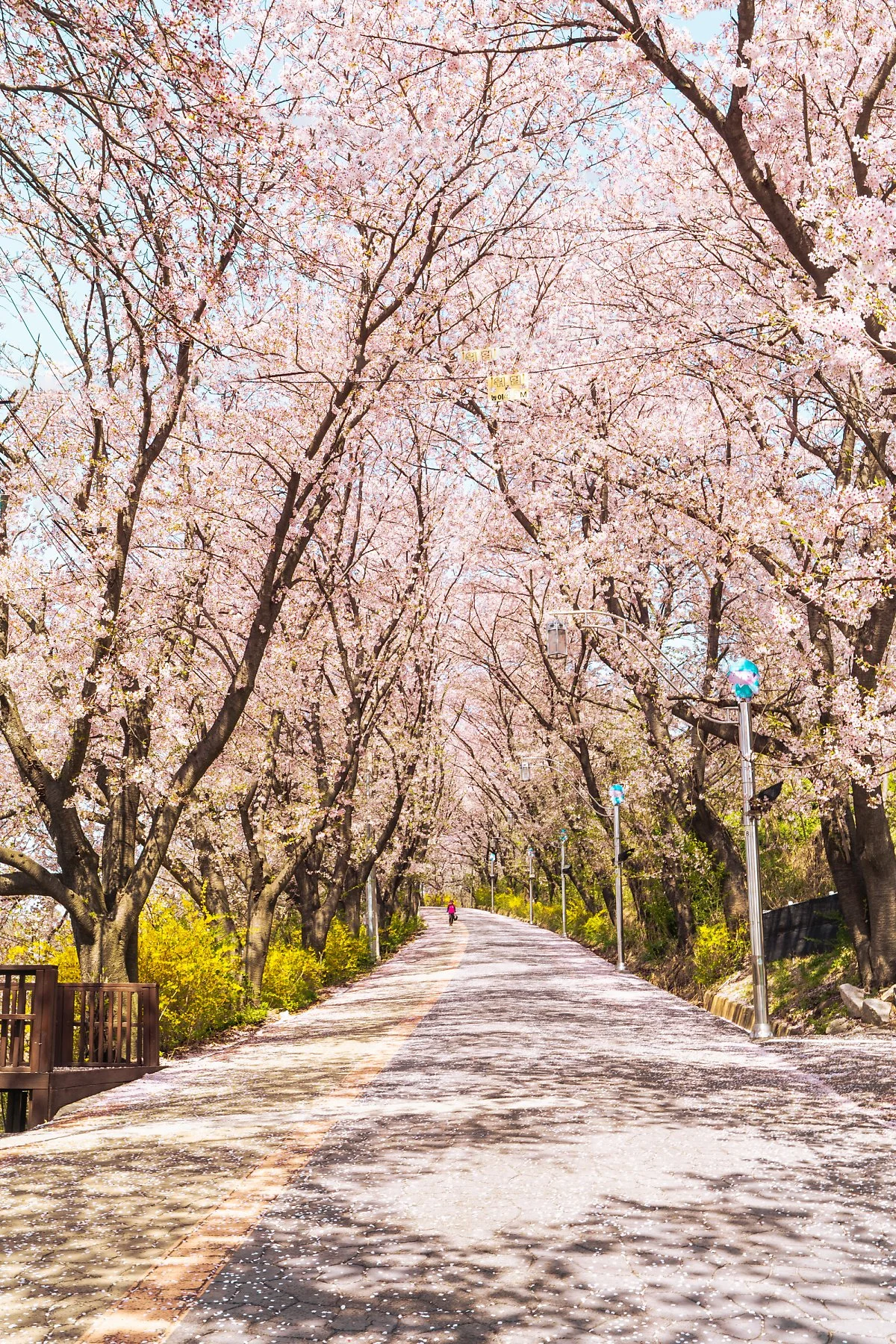 %EA%B0%95%ED%99%94%EC%82%B0%EC%84%B1_%EB%B6%81%EB%AC%B8_%EB%B2%9A%EA%BD%83%EA%B8%B8_%283%29.jpg?type=w1200