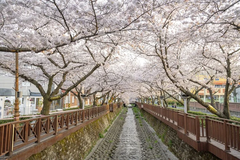 %EC%97%AC%EC%A2%8C%EC%B2%9C.jpg?type=w1200