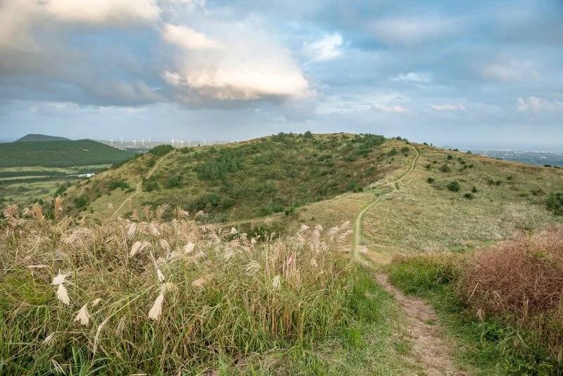 %EB%94%B0%EB%9D%BC%EB%B9%84%EC%98%A4%EB%A6%84_%282%29.jpg?type=w1200