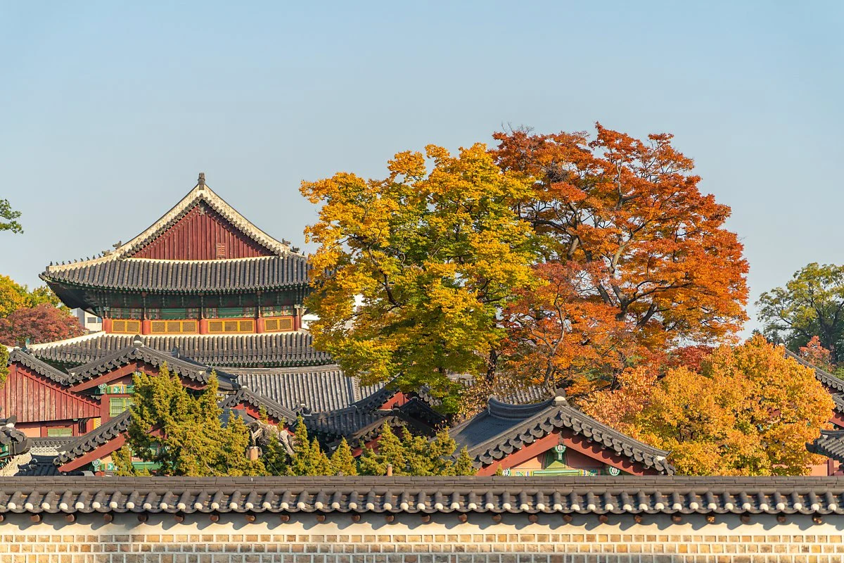 %EC%B0%BD%EB%8D%95%EA%B6%81_010.jpg?type=w1200