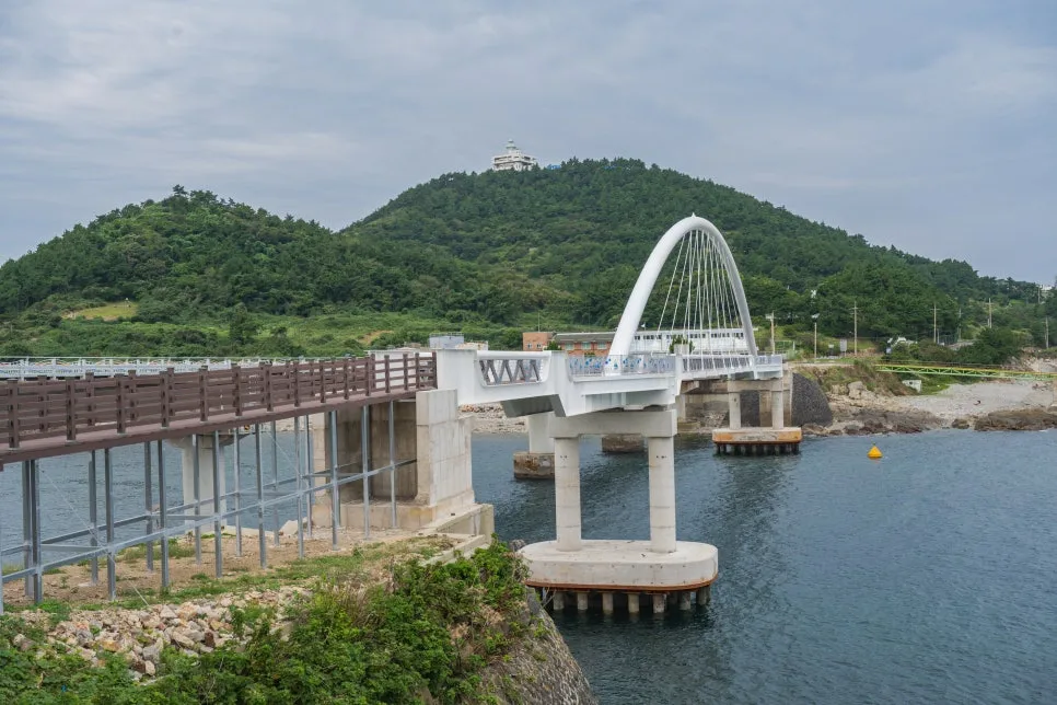 %EC%B6%94%EC%9E%90_%EC%9D%B8%EB%8F%84%EA%B5%90_(2).jpg?type=w966