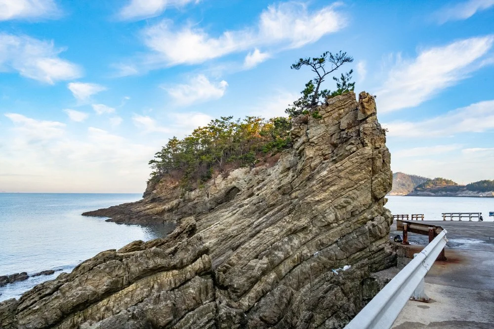 %EB%B2%8C%EA%B8%88%EC%9A%A9%EB%A8%B8%EB%A6%AC%ED%95%B4%EC%95%88_%282%29.jpg?type=w1200