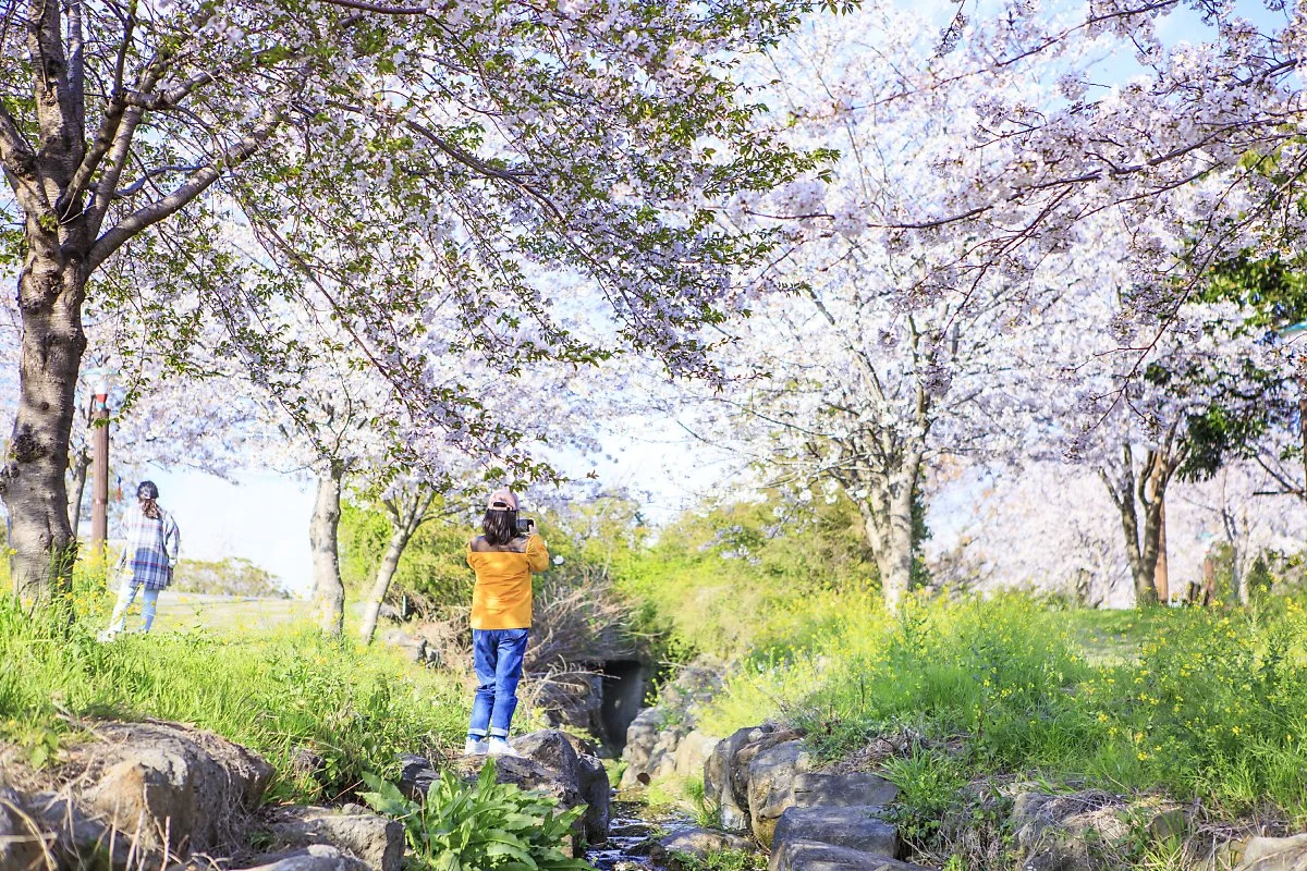 %EC%98%88%EB%9E%98%EC%83%9D%ED%83%9C%EA%B3%B5%EC%9B%90.JPG?type=w1200