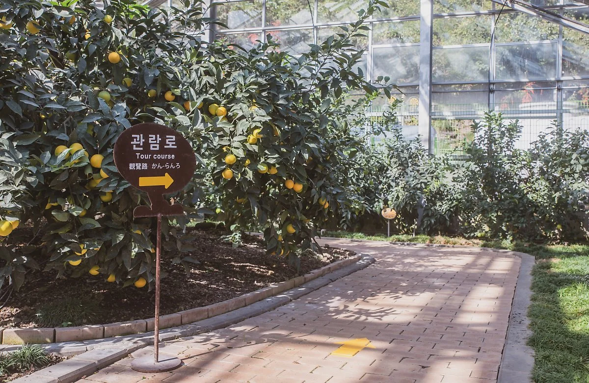 %EC%84%9C%EA%B7%80%ED%8F%AC%EA%B0%90%EA%B7%A4%EB%B0%95%EB%AC%BC%EA%B4%80_003.jpg?type=w1200