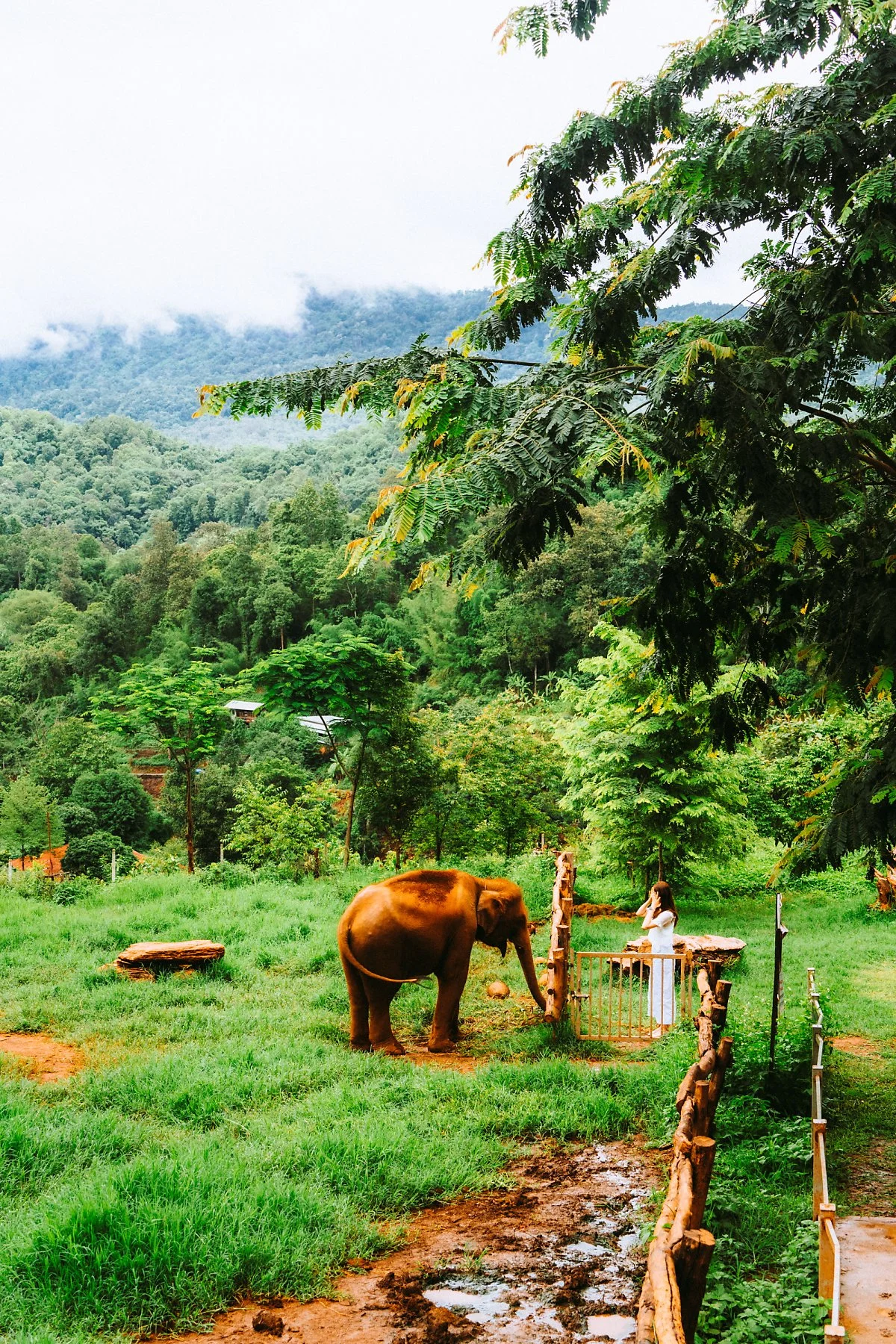 %EC%97%98%EB%A6%AC%ED%95%80%ED%8C%9C.jpg?type=w1200