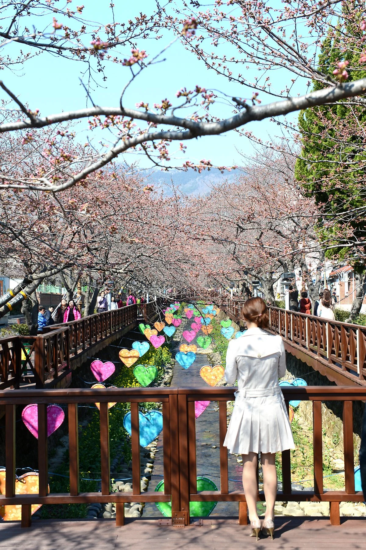 DSC_4228.JPG?type=w1200