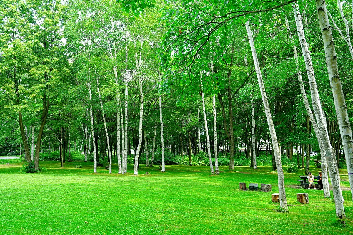 %ED%9B%84%EB%9D%BC%EB%85%B8_%EC%B9%98%EC%A6%88_%EA%B3%B5%EB%B0%A9_%2814%29_-_%EC%B6%94%EC%B2%9C.jpg?type=w1200