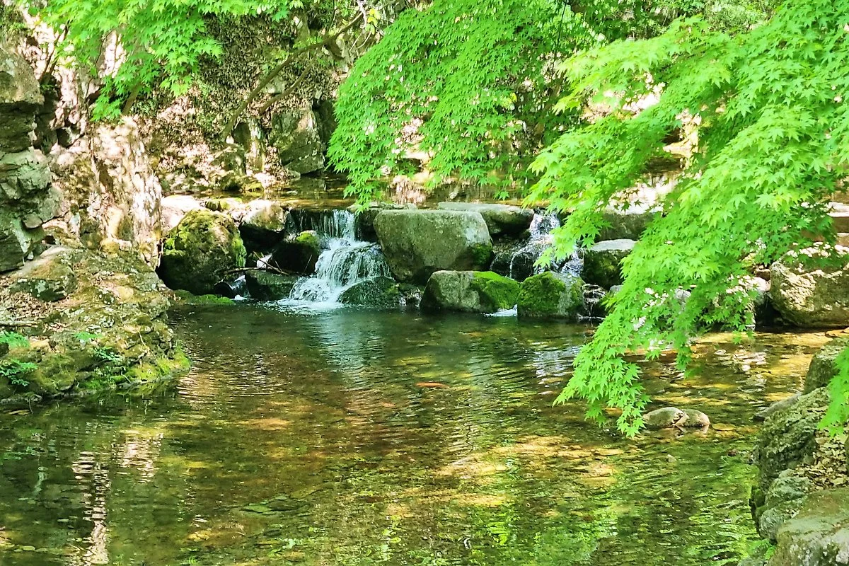 %EA%B0%95%EC%B2%9C%EC%82%B0_%285%29.jpg?type=w1200