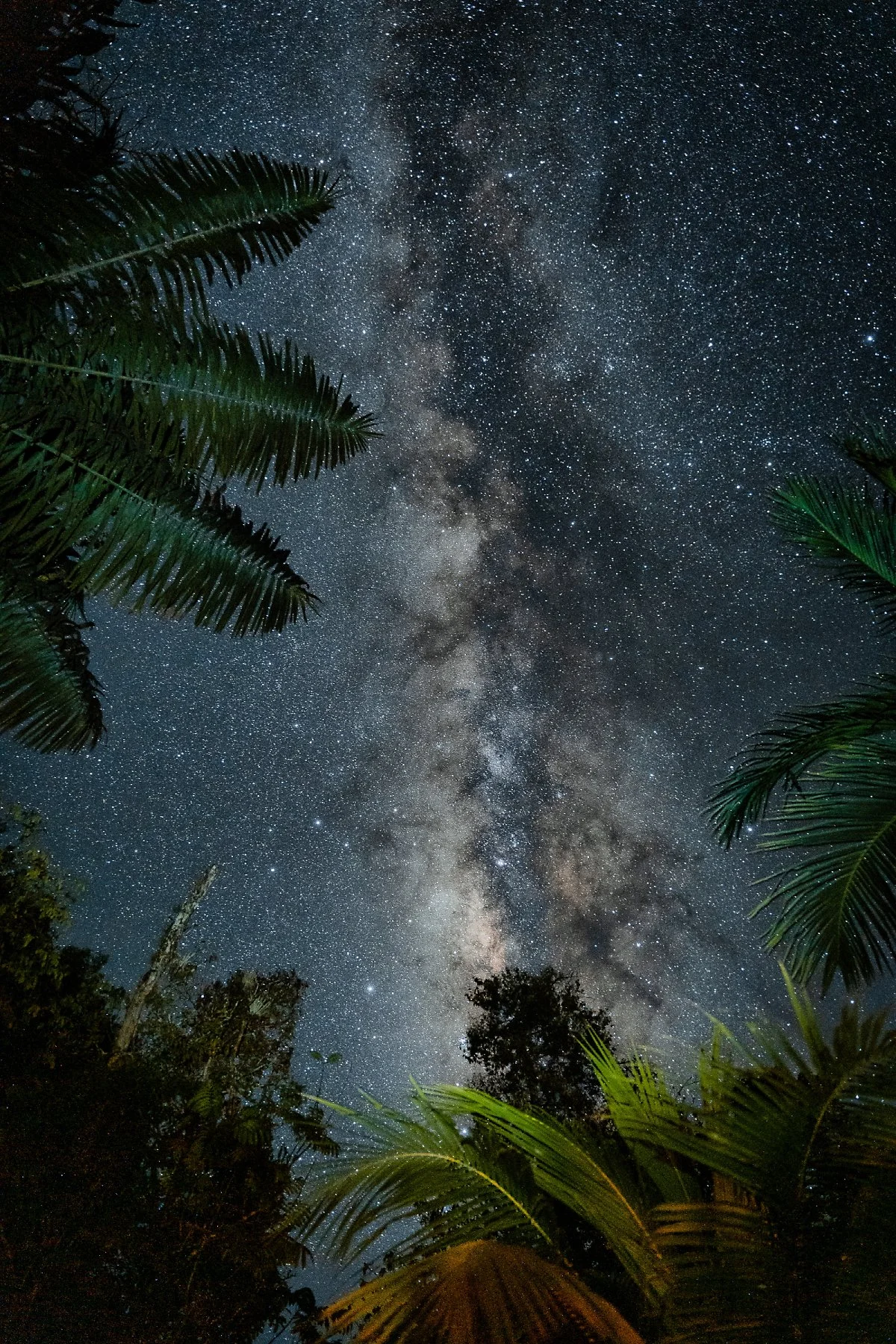 RJ104624-Edit-Enhanced.jpg?type=w1200