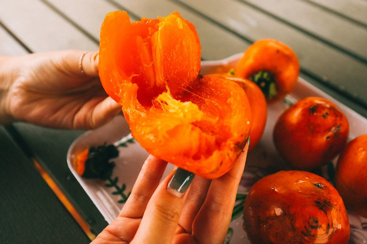 %EC%A1%B0%EC%94%A8%EB%84%A4_%EA%B0%90%EB%86%8D%EC%9E%A5_-20.JPG?type=w1200