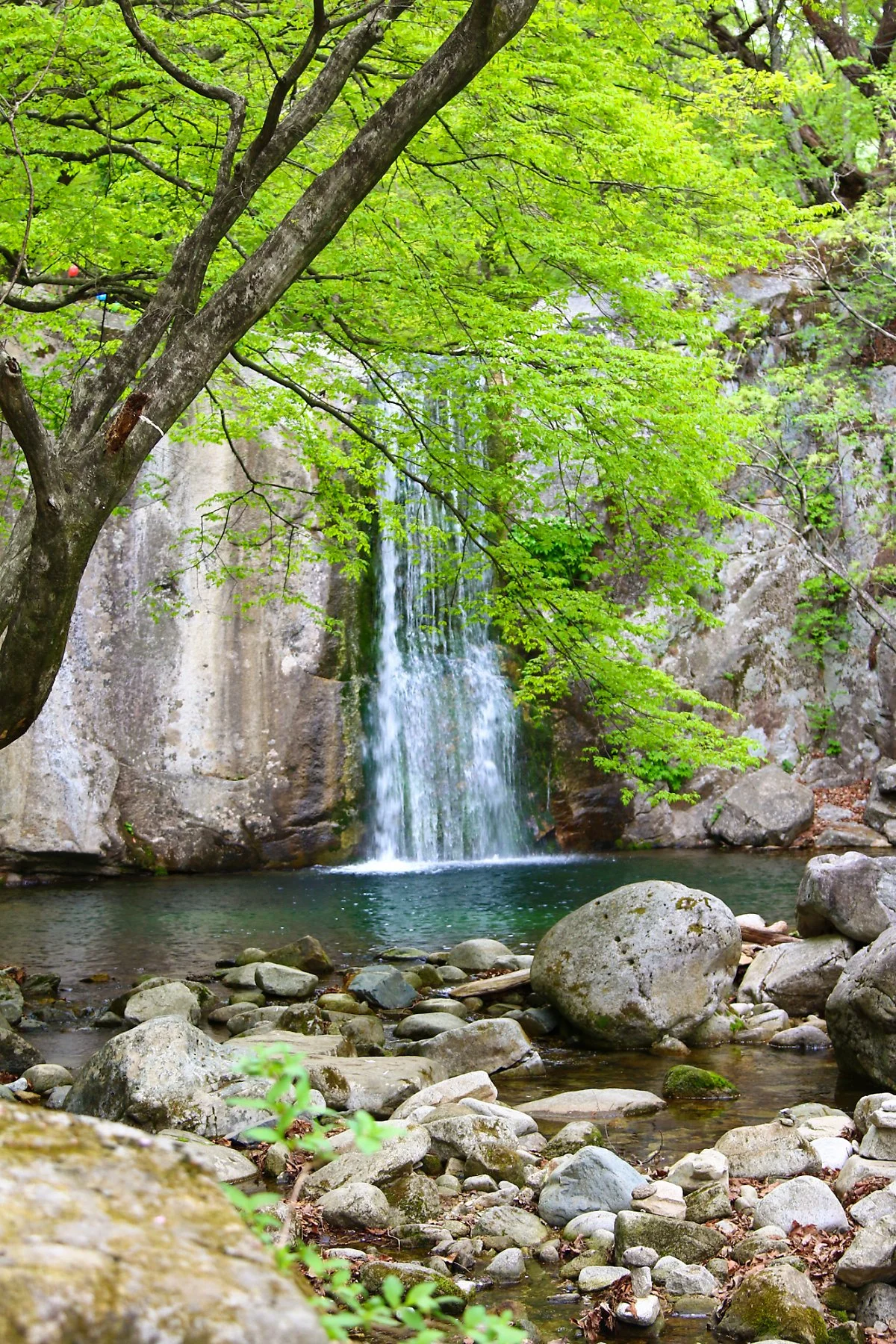 %EA%B5%AC%EC%86%A1%ED%8F%AD%ED%8F%AC_%282%29.jpg?type=w1200