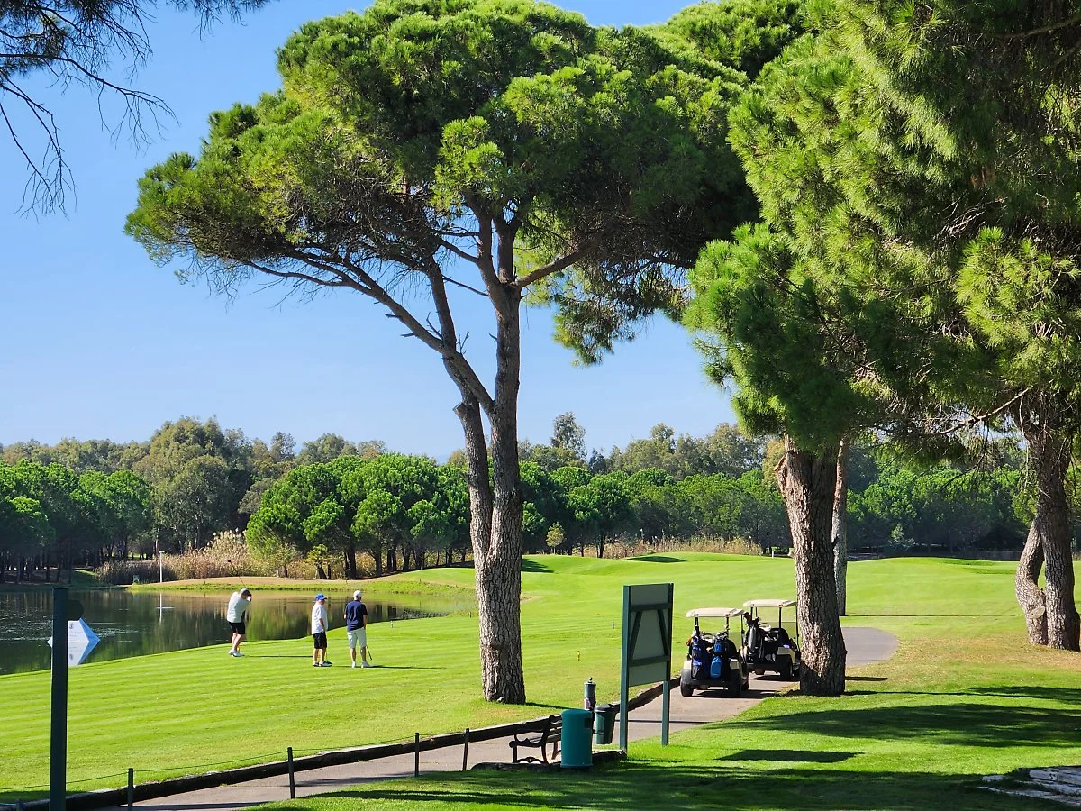 %EC%95%88%ED%83%88%EB%A6%AC%EC%95%84%EA%B3%A8%ED%94%84%ED%81%B4%EB%9F%BD_%281%29.jpg?type=w1200