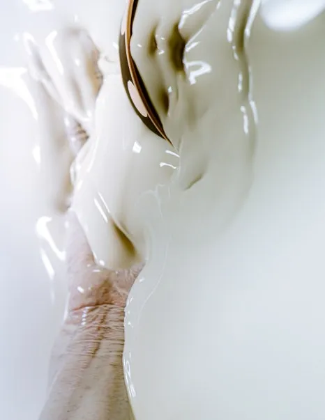 %EB%8F%84%EB%B9%84%EB%9D%BC.jpg?type=w466