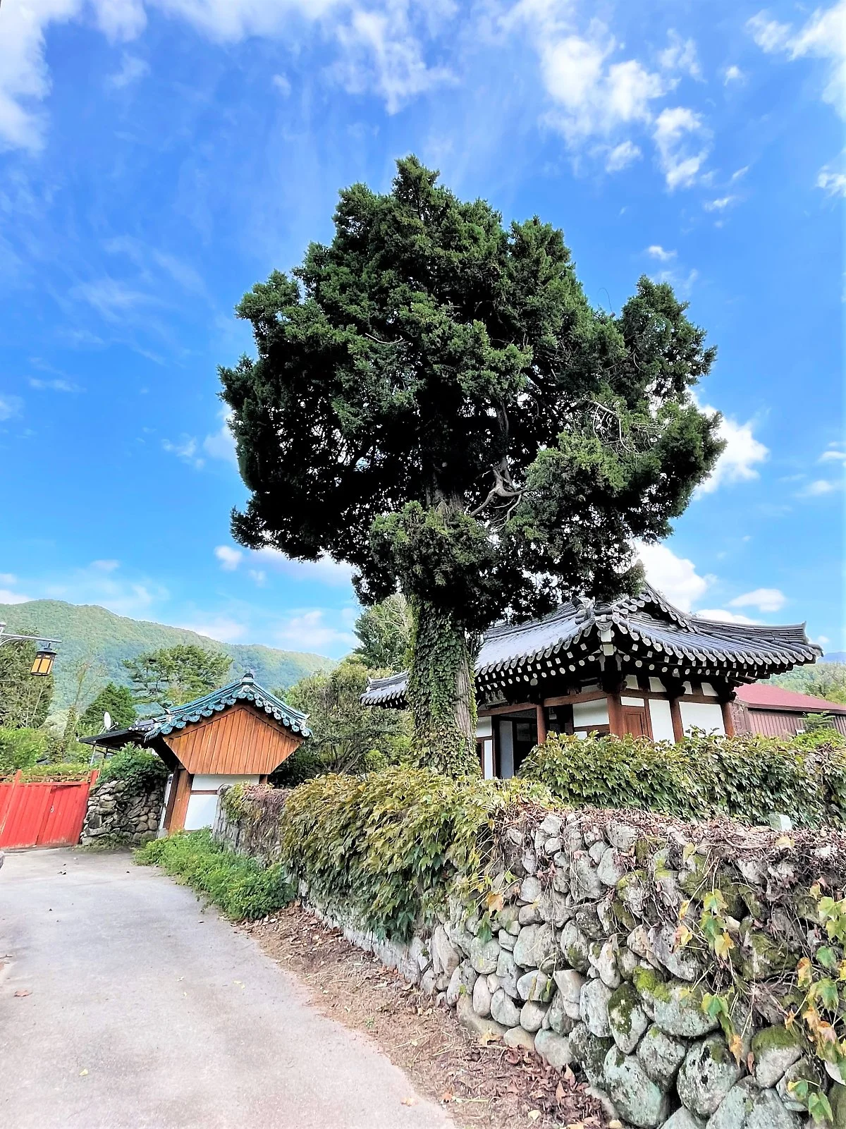 %ED%95%9C%EB%B0%A4%EB%A7%88%EC%9D%84_%285%29.JPG?type=w1200