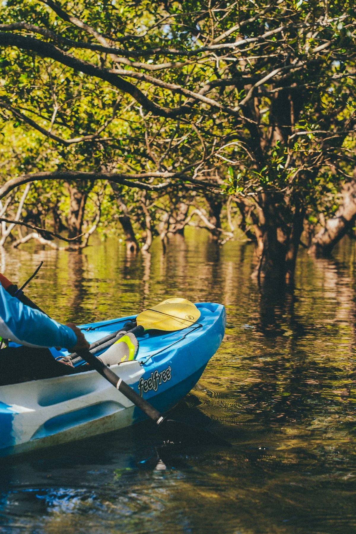 %EC%A0%80%EB%B9%84%EC%8A%A4_%EB%B2%A0%EC%9D%B4_%EC%B9%B4%EC%95%BD_%288%29.jpg?type=w1200