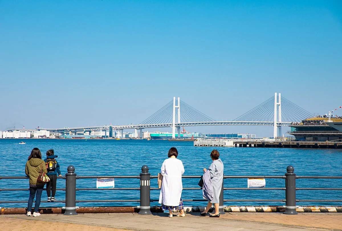 %EC%9A%94%EC%BD%94%ED%95%98%EB%A7%88_%EC%9A%94%EC%BD%94%ED%95%98%EB%A7%88_%EB%B2%A0%EC%9D%B4_%EB%B8%8C%EB%A6%AC%EC%A7%80.jpg?type=w1200