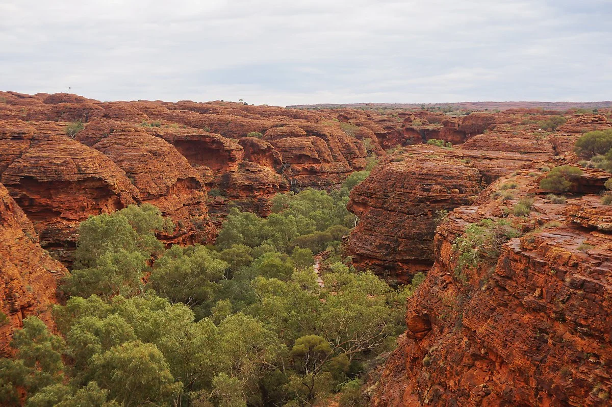 %ED%82%B9%EC%8A%A4%EC%BA%90%EB%85%84_2.jpg?type=w1200