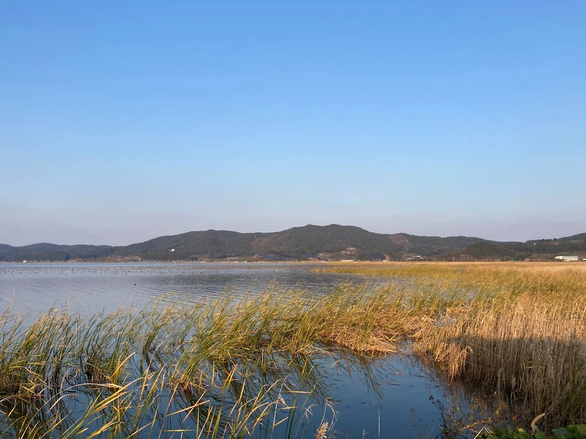 %EA%B3%A0%ED%9D%A5%ED%98%B8_%EC%8A%B5%EC%A7%80_%EA%B2%BD%EA%B4%80.png?type=w1200