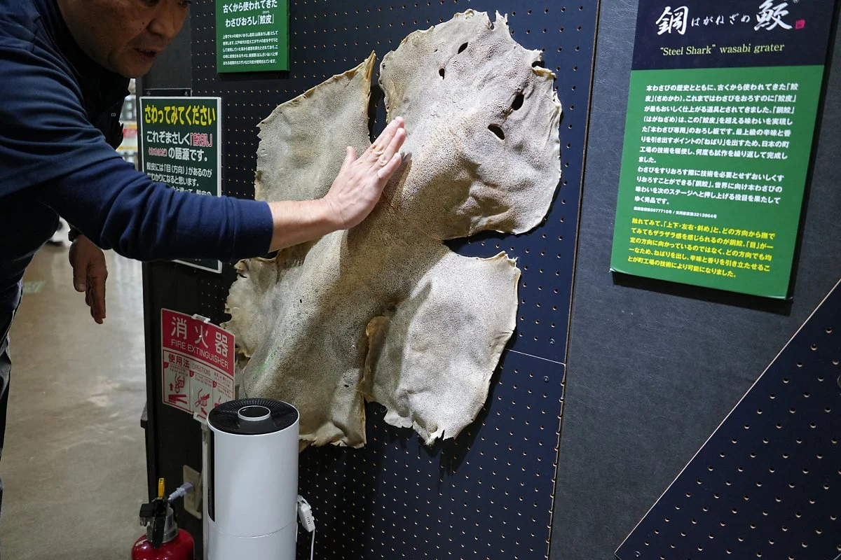 %EC%99%80%EC%82%AC%EB%B9%84_%EB%AE%A4%EC%A7%80%EC%97%84_%281%29_%EC%B2%A0%EA%B0%91%EC%83%81%EC%96%B4_%EB%93%B1%EA%BB%8D%EC%A7%88.jpg?type=w1200