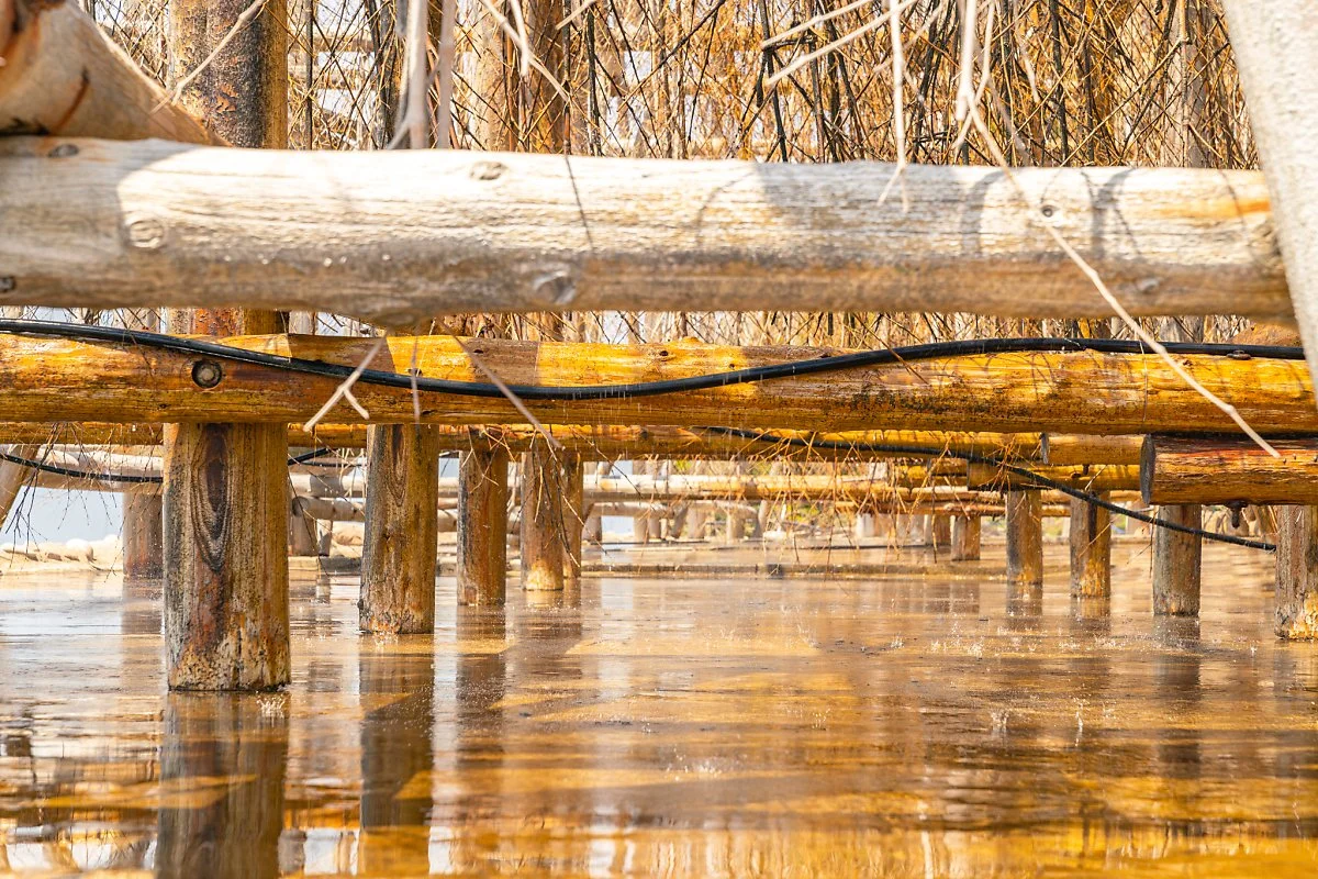 %EA%B3%B5%EB%B0%A9%EB%8F%97%ED%83%84_00003.jpg?type=w1200