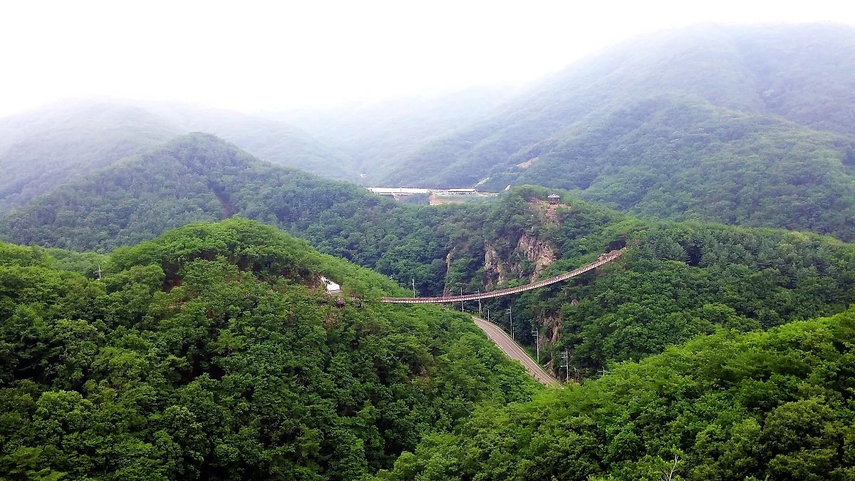 02%EA%B0%90%EC%95%85%EC%82%B0_%EC%B6%9C%EB%A0%81%EB%8B%A4%EB%A6%AC_%281%29.jpg?type=w1200