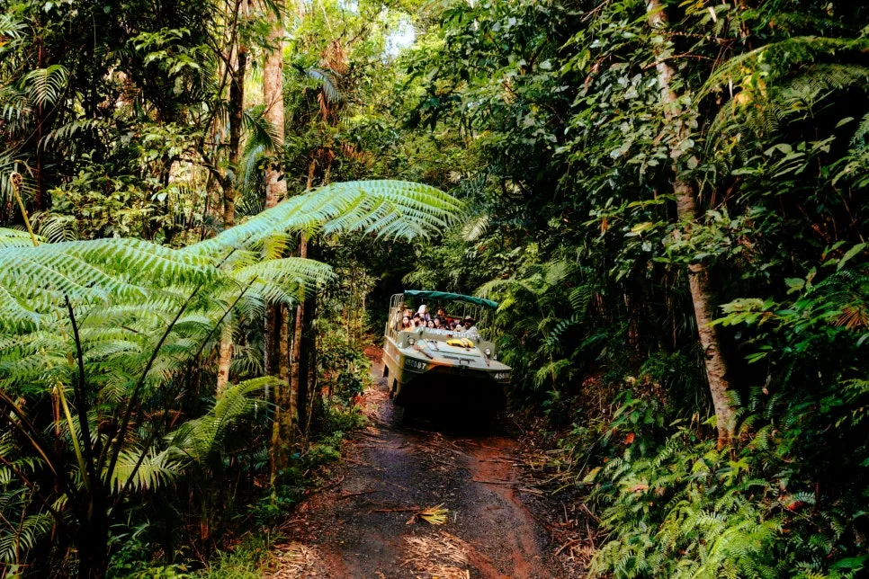 %EB%A0%88%EC%9D%B8%ED%8F%AC%EB%A0%88%EC%8A%A4%ED%85%8C%EC%9D%B4%EC%85%98_%EC%9E%90%EC%97%B0%EA%B3%B5%EC%9B%90_(1).jpg?type=w966