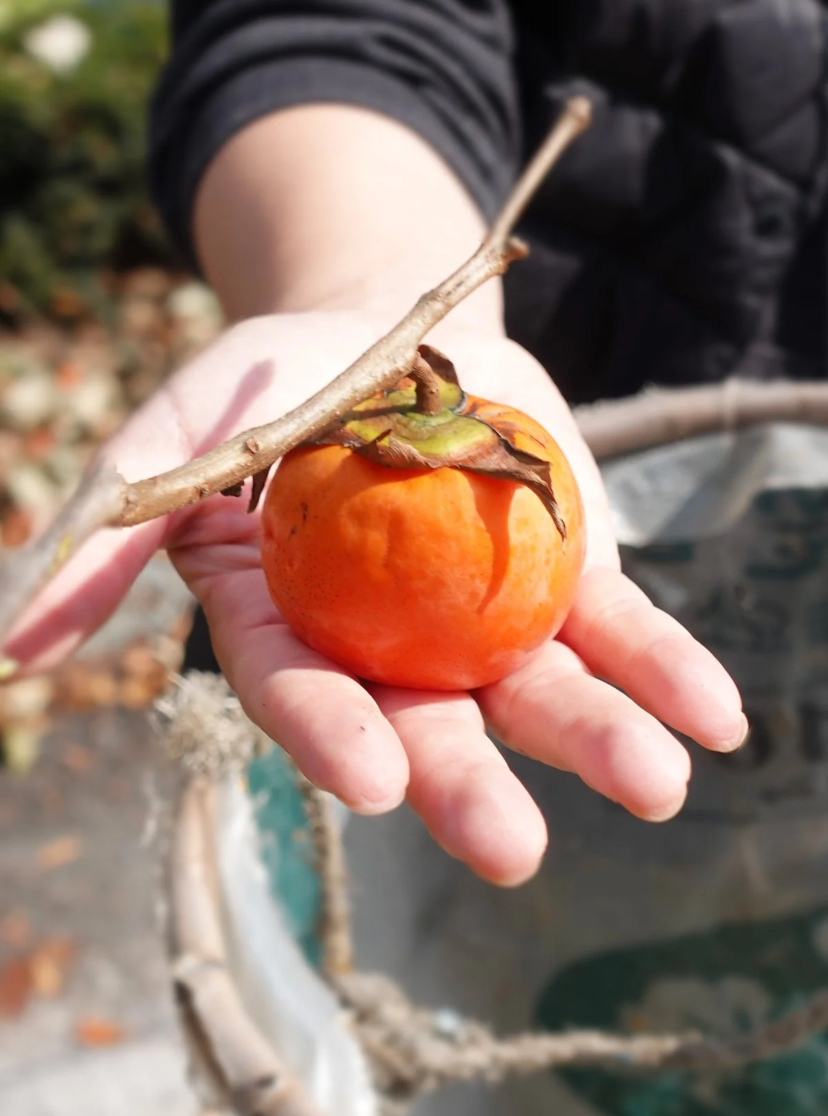 3.%EB%A7%88%EC%A1%B0%EB%A7%88%EC%9D%84_%EA%B0%90_%EC%88%98%ED%99%95%EC%B2%B4%ED%97%98.jpg?type=w1200