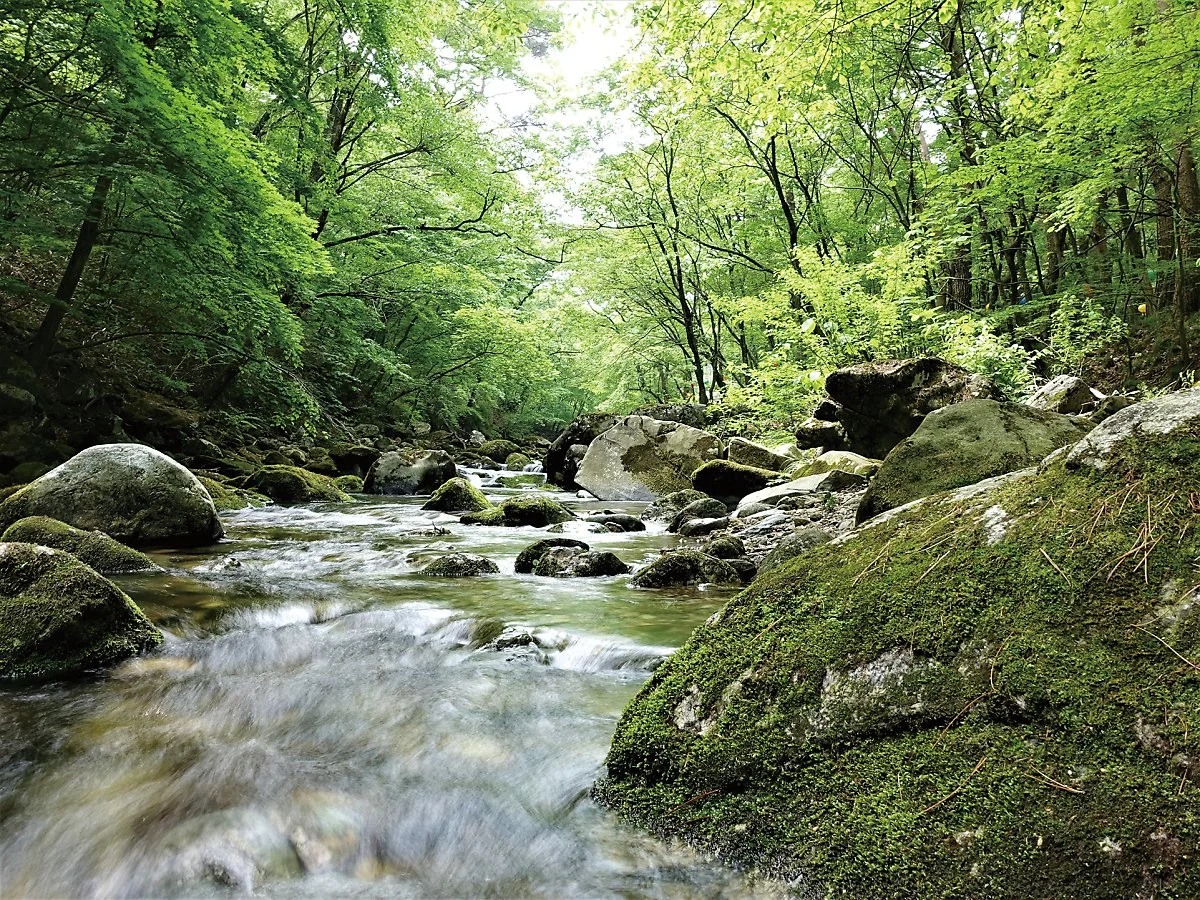 %EC%9B%90%EC%A3%BC%EA%B5%AC%EB%A3%A1%EC%82%AC_%EA%B9%80%EC%84%A0%EC%A3%BC_202005_%2890%29.JPG?type=w1200