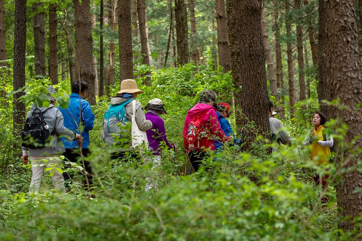 5._%EC%9A%A9%ED%8F%89%EB%A6%AC%EC%A1%B0%ED%8A%B8_%EB%B0%9C%EC%99%95%EC%82%B0_%283%29.jpg?type=w1200