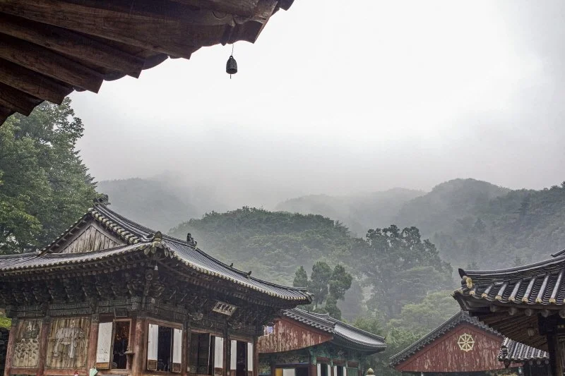 %ED%8C%8C%EC%A3%BC_%EC%9D%B4%EB%AF%B8%EC%A7%80_6.jpg?type=w1200