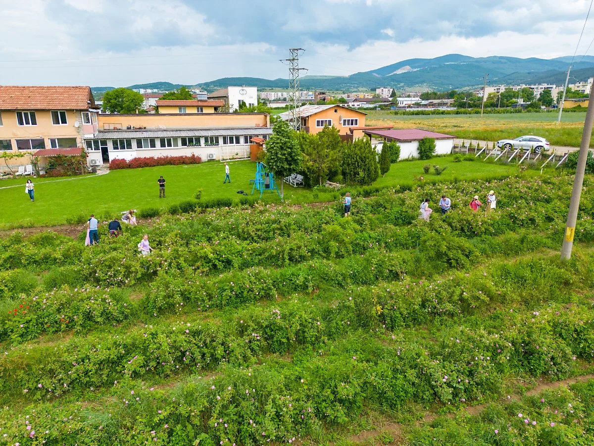 %EB%B6%88%EA%B0%80%EB%A6%AC%EC%95%84_%EC%9E%A5%EB%AF%B8%EB%86%8D%EC%9E%A5_%2813%29.jpg?type=w1200