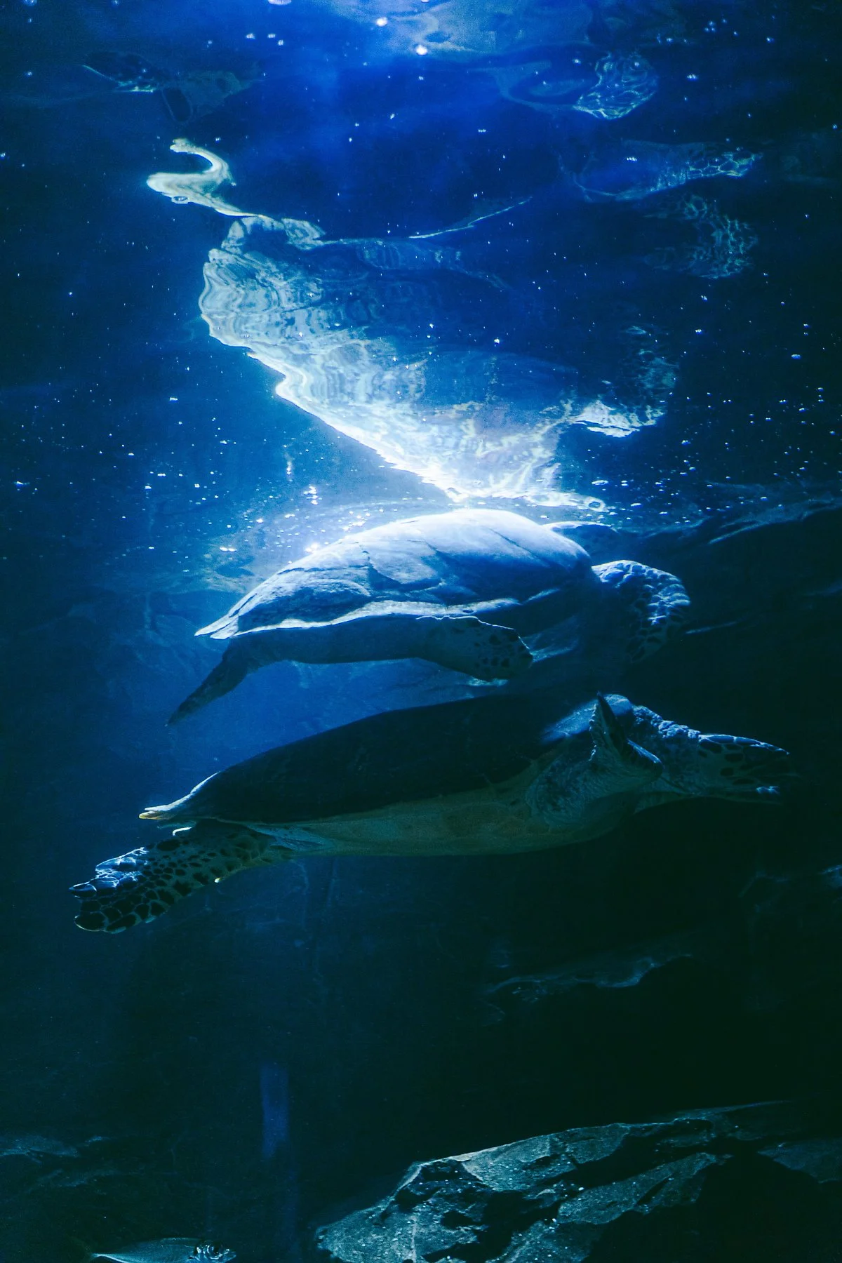 _86A6743_1.jpg?type=w1200