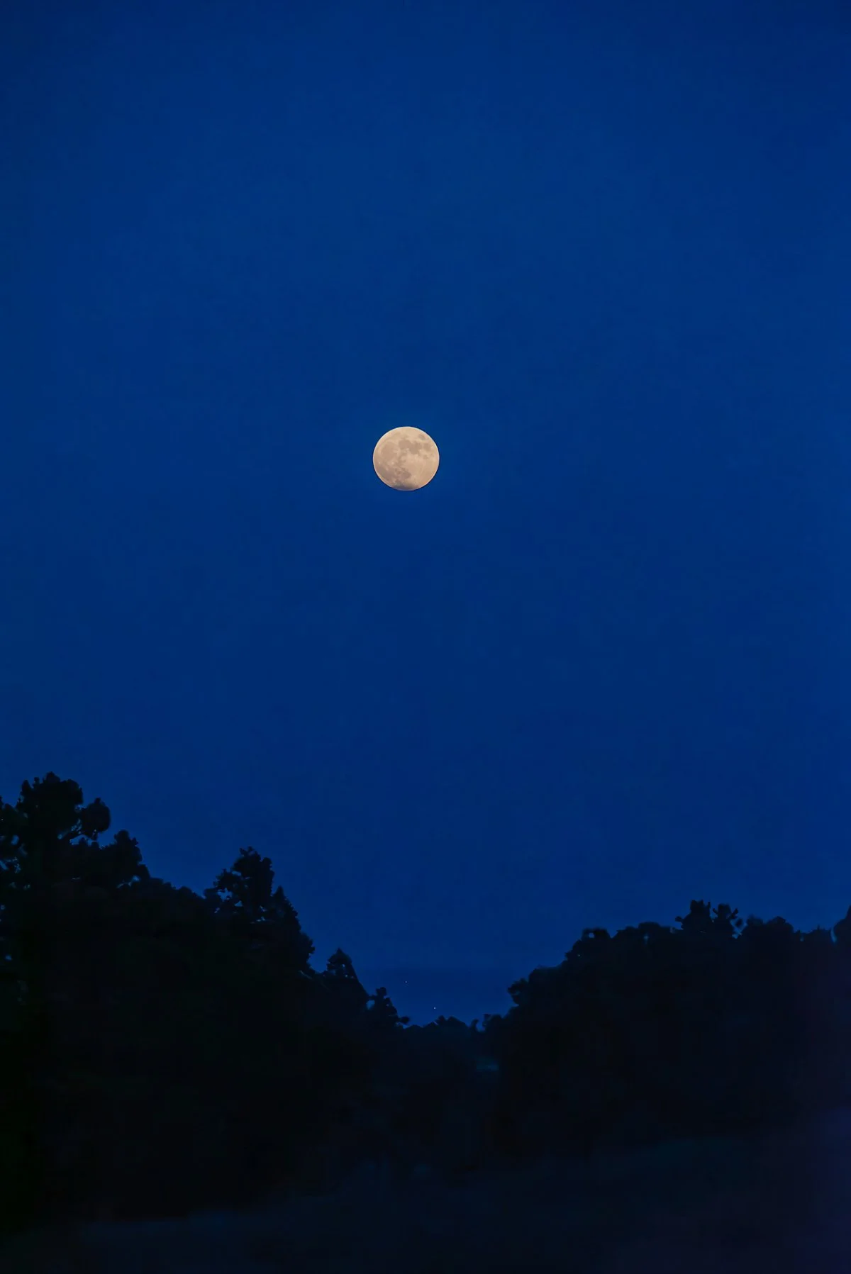 1_%EC%9D%B4%EB%9F%B0%EA%B1%B4_%ED%95%98%EB%82%98%EC%94%A9_%EB%84%A3%EC%96%B4%EC%A3%BC%EC%84%B8%EC%9A%94_%EC%9A%A9%EB%88%88%EC%9D%B4_%EC%98%A4%EB%A6%84.jpg?type=w1200