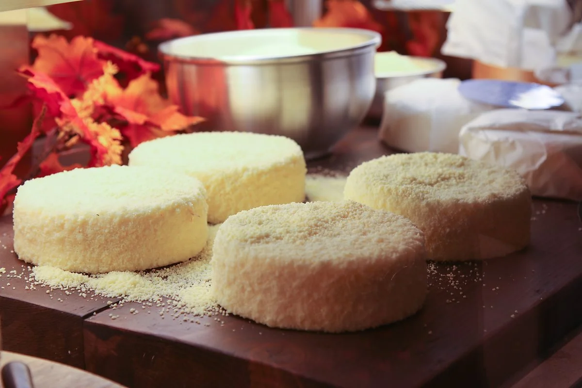 4_%EB%94%94%EC%A0%80%ED%8A%B8_%EB%A5%B4%ED%83%80%EC%98%A4_%EB%B0%8F_%EC%82%AC%EC%99%80%EC%99%80_%EC%95%84%EC%9D%B4%EC%8A%A4%ED%81%AC%EB%A6%BC_%284%29.jpg?type=w1200