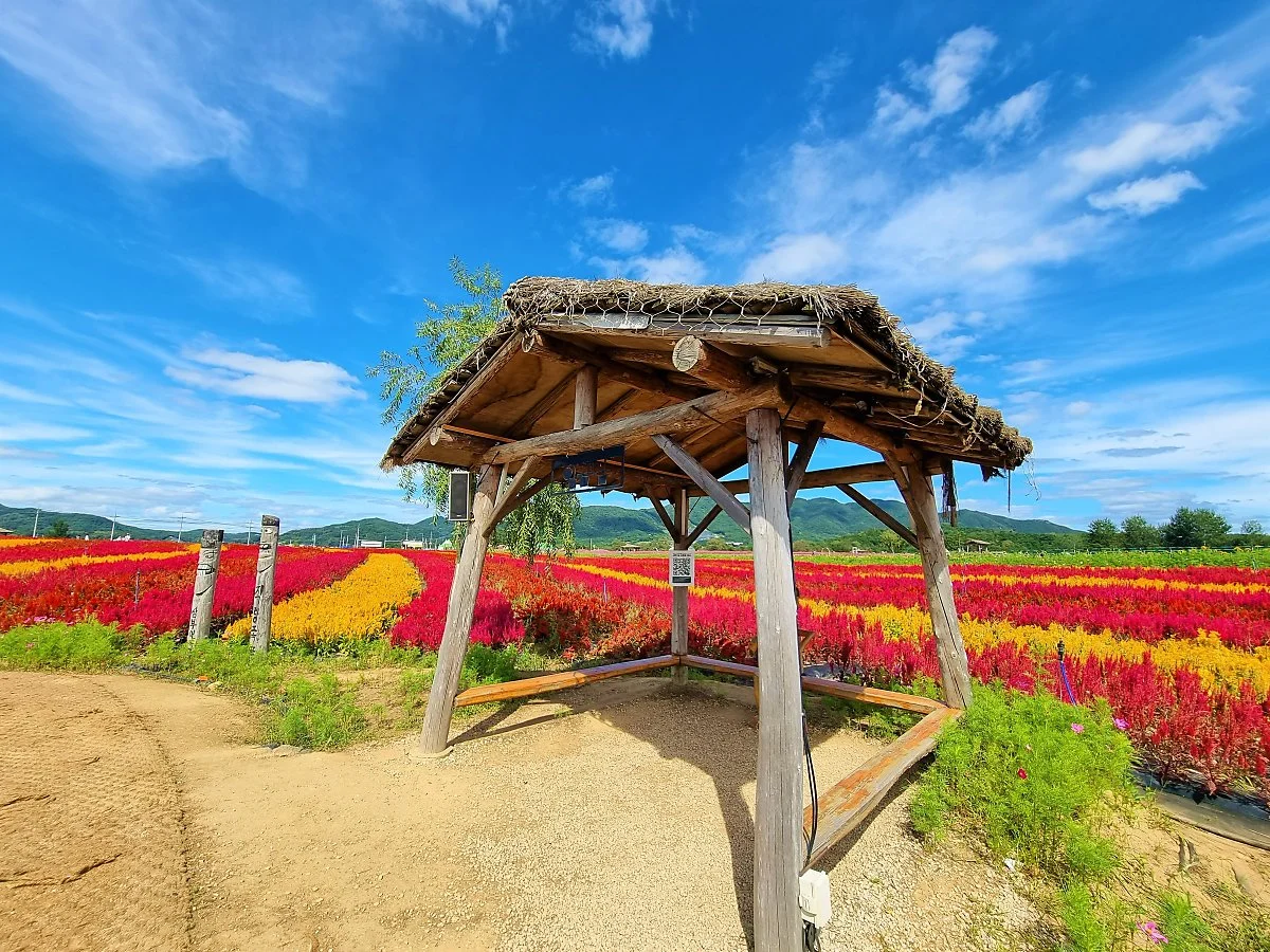 02%EA%B3%A0%EC%84%9D%EC%A0%95%EA%BD%83%EB%B0%AD_%283%29.jpg?type=w1200