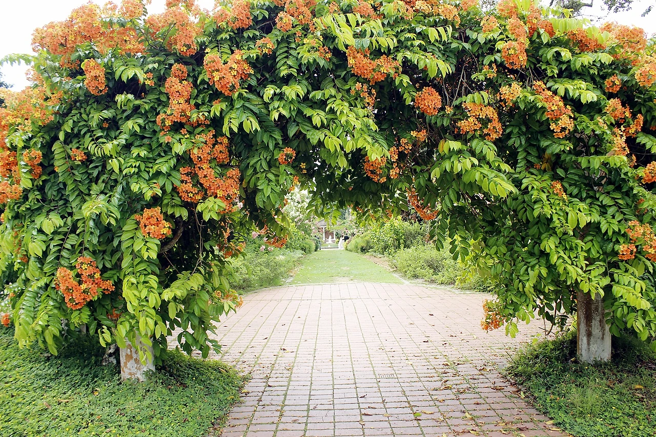 보타닉가든 (2).JPG