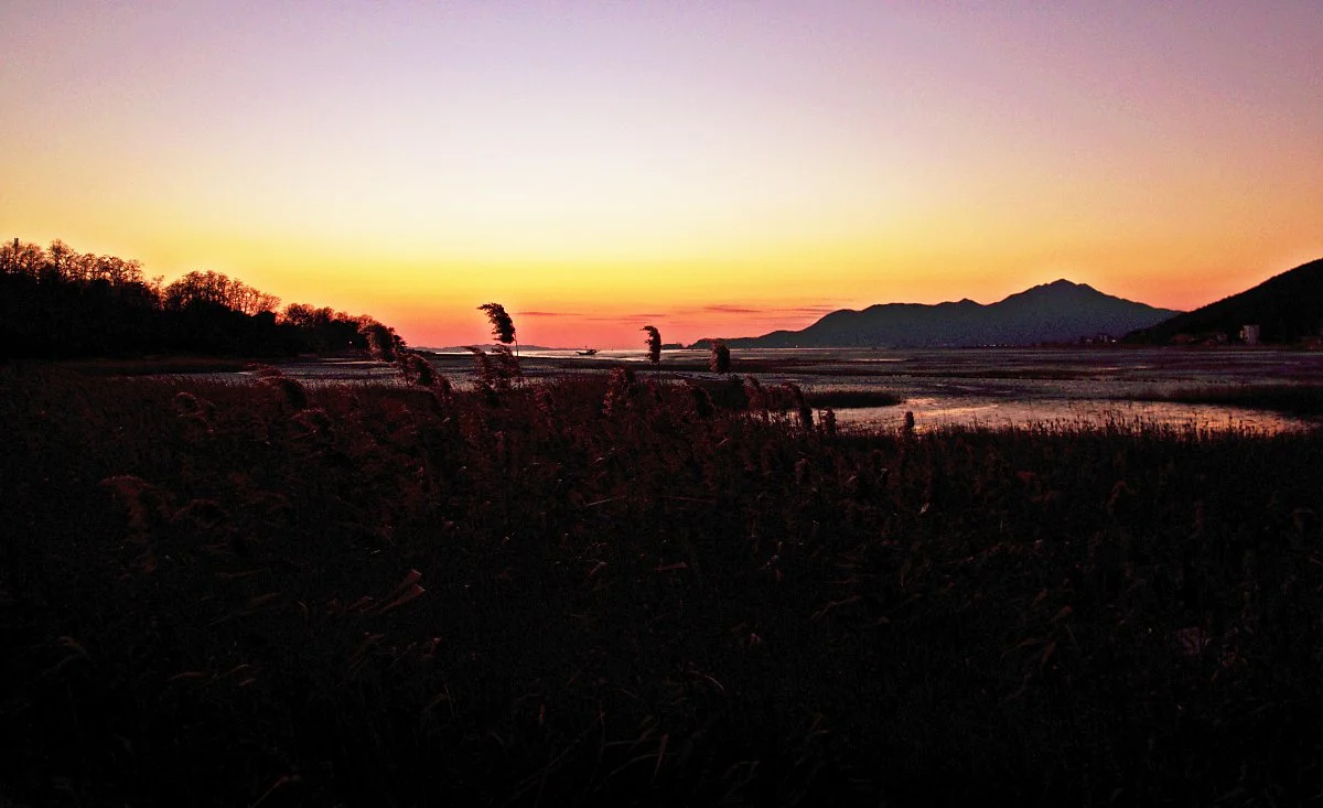 %EA%B0%88%EB%8C%80%EB%B0%AD_%EA%B0%AF%EB%B2%8C%EB%A1%9C_%EC%96%B4%EB%91%A0%EC%9D%B4_%EB%82%B4%EB%A6%AC%EA%B3%A0_%EB%A8%BC_%ED%95%98%EB%8A%98%EC%97%90%EC%84%9C_%EB%85%B8%EC%9D%84%EC%9D%B4_%EB%A7%88%EC%A7%80%EB%A7%89%EA%B9%8C%EC%A7%80_%EB%B9%9B%EB%82%9C.JPG?type=w1200