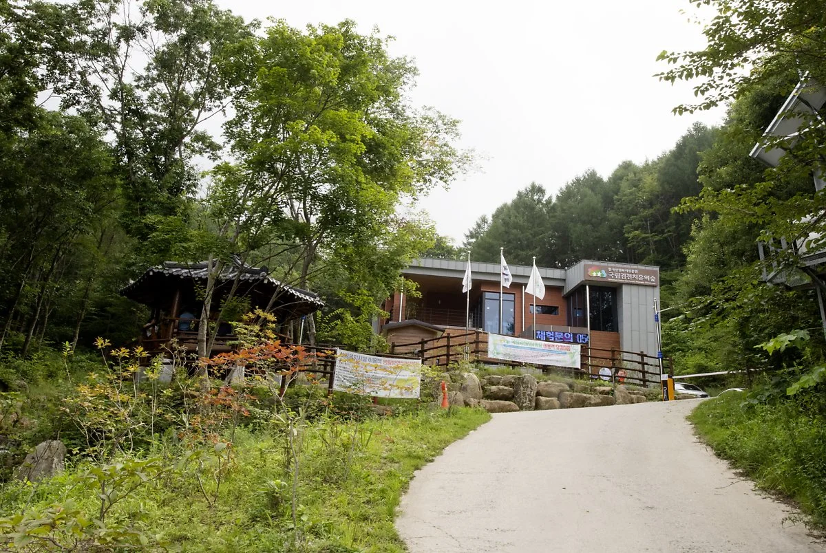 10-1_%EA%B9%80%EC%B2%9C%EC%B9%98%EC%9C%A0%EC%9D%98%EC%88%B2.jpg?type=w1200