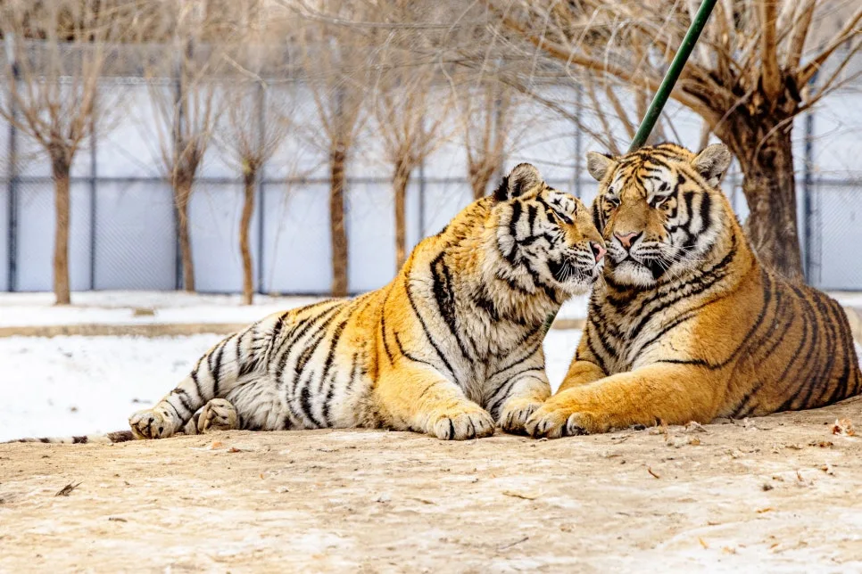 %EB%8F%99%EB%B6%81%ED%98%B8%EB%A6%BC%EC%9B%90_(6).jpg?type=w966